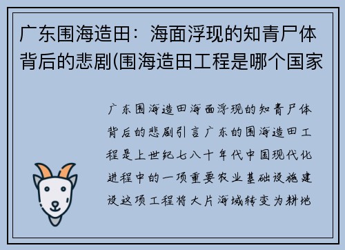 广东围海造田：海面浮现的知青尸体背后的悲剧(围海造田工程是哪个国家)